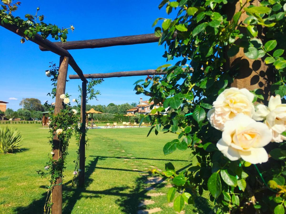 Casale La Rovere Montalto di Castro Zewnętrze zdjęcie